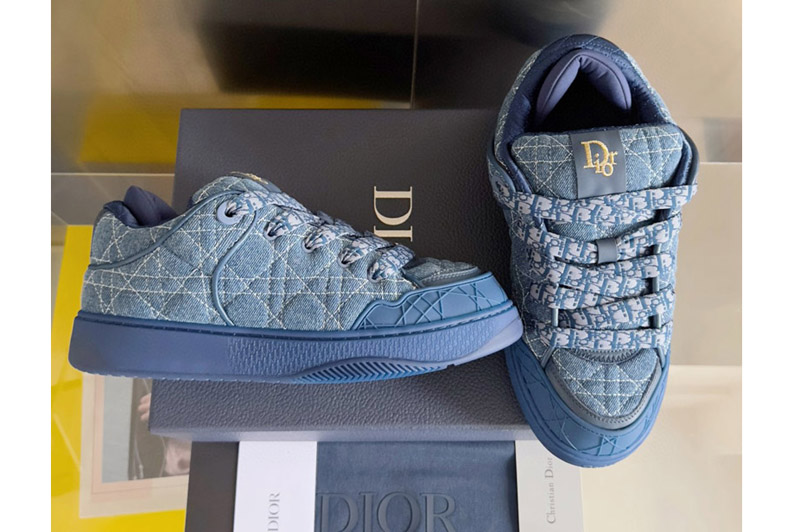 Dior Sneaker and Shoe