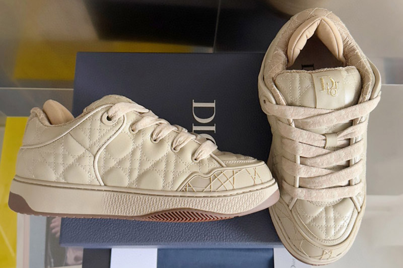 Dior Sneaker and Shoe
