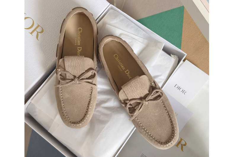 Dior Loafer and Shoe