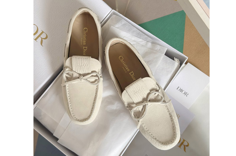 Dior Loafer and Shoe