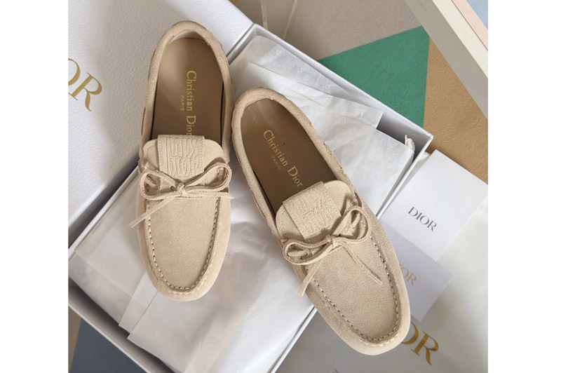 Dior Loafer and Shoe