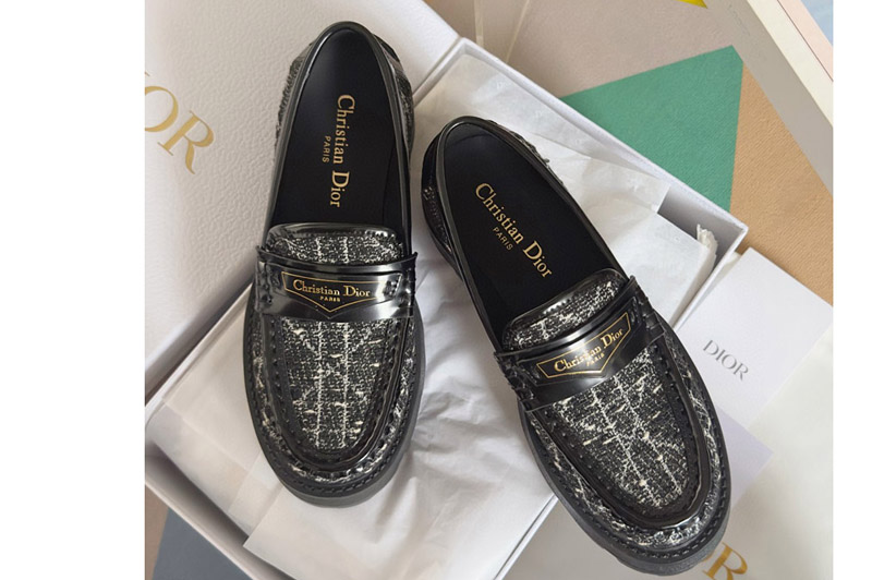 Dior Loafer and Shoe