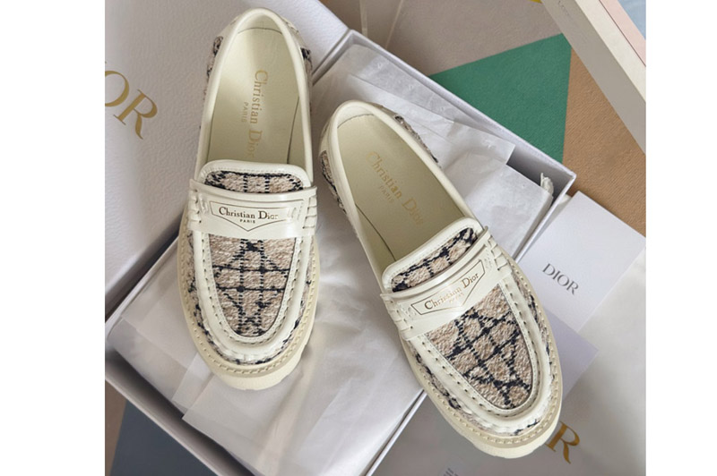 Dior Loafer and Shoe