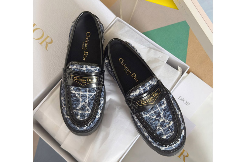 Dior Loafer and Shoe