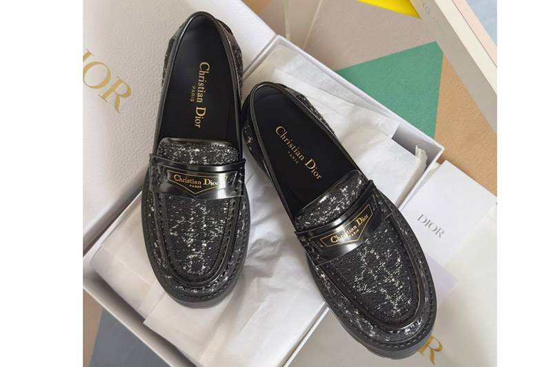 Dior Loafer and Shoe
