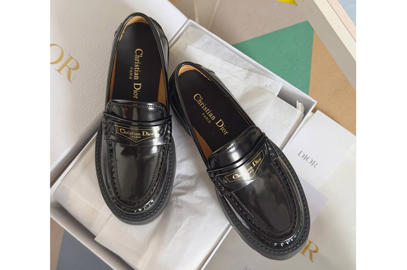 Dior Loafer and Shoe