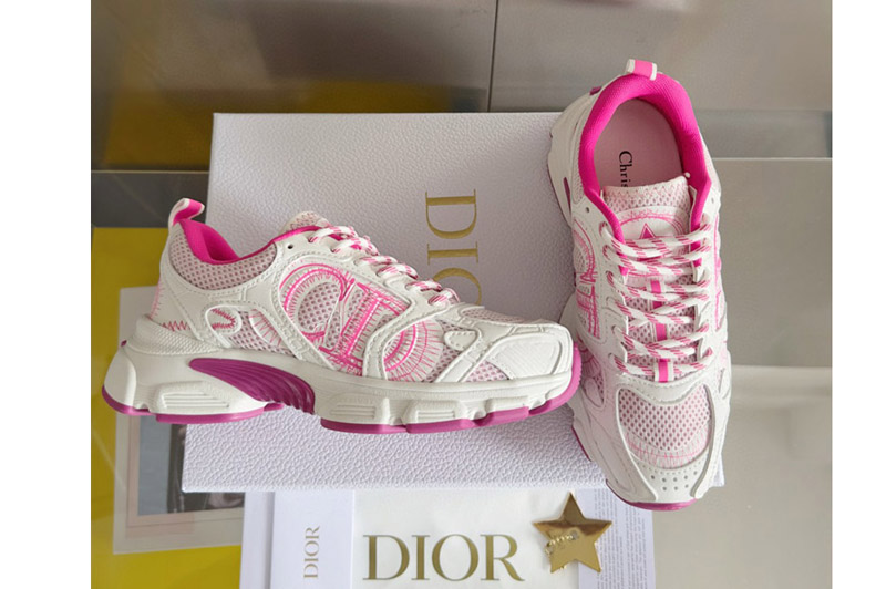 Dior Sneaker and Shoe