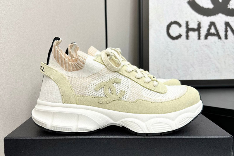 CC Sneaker and Shoe