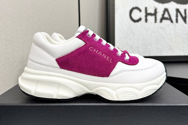 CC Sneaker and Shoe