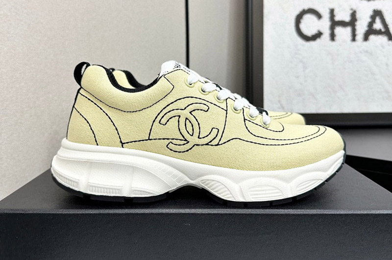 CC Sneaker and Shoe