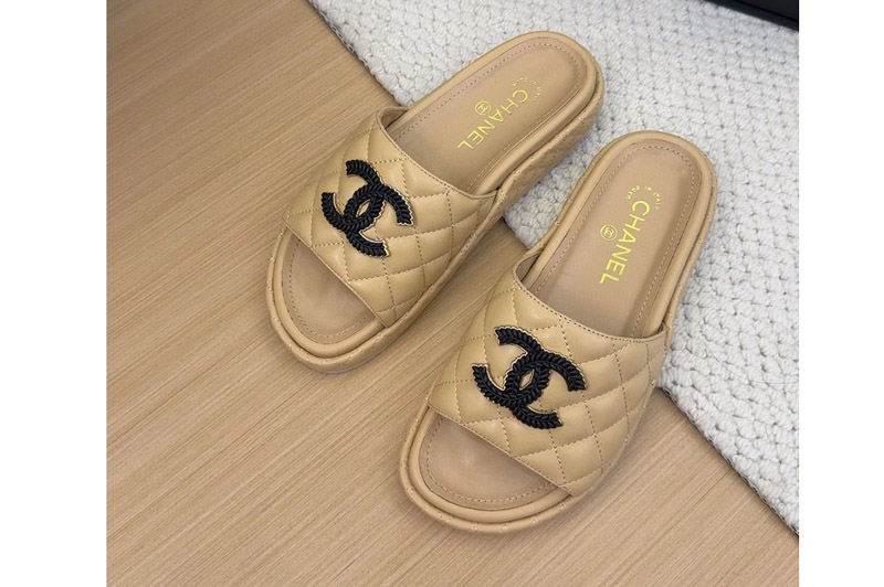CC Sandal and Slippers