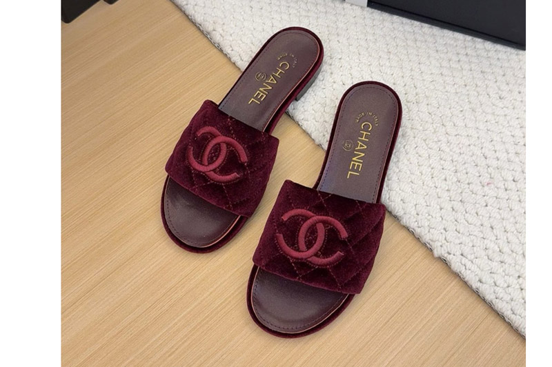CC Sandal and Slippers