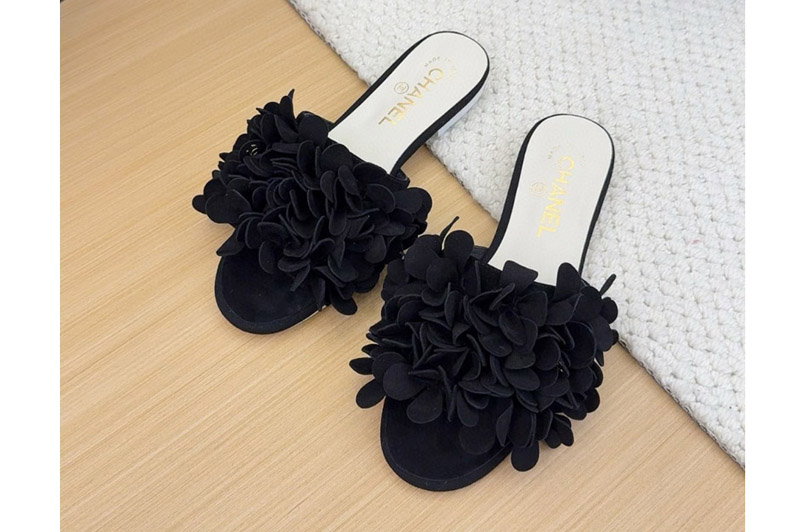 CC Sandal and Slippers