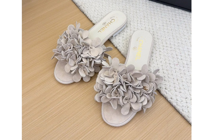 CC Sandal and Slippers