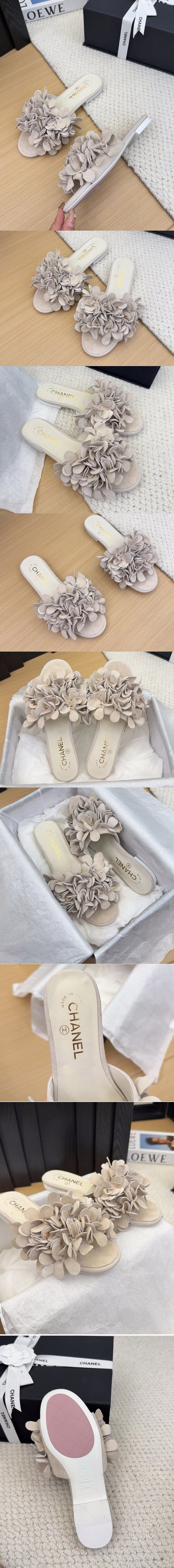New Women Replica Shoes