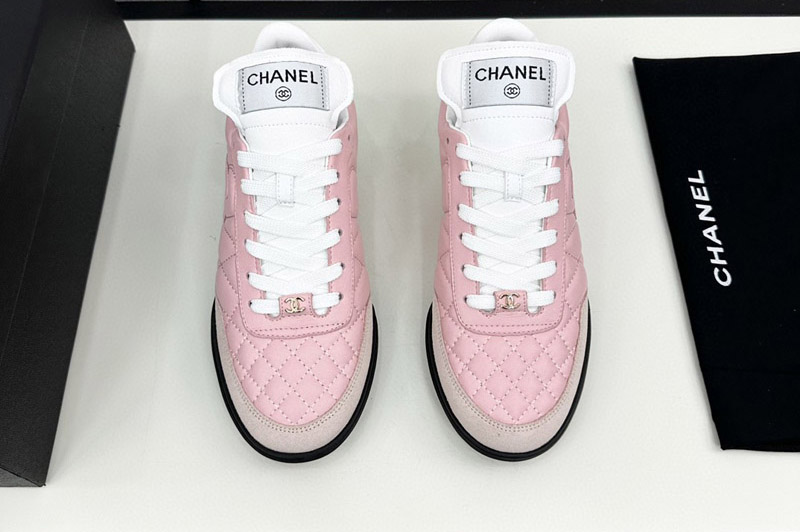 CC Sneaker and Shoe