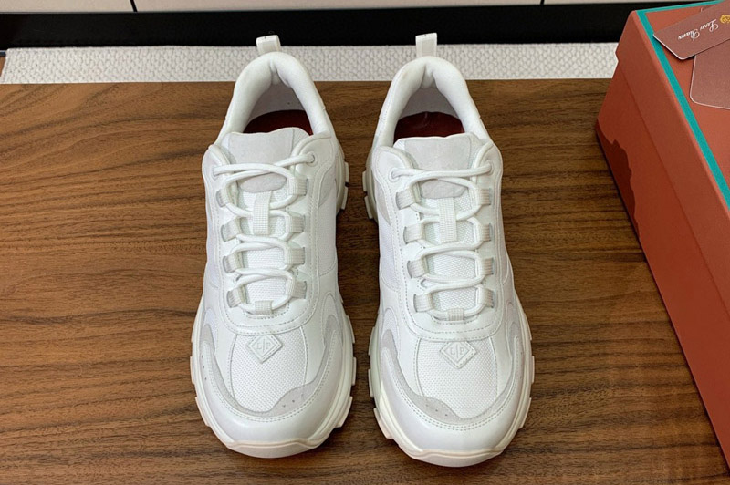 Loro Piana Sneaker and Shoe