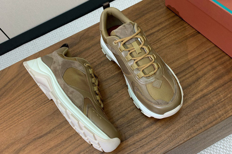 Loro Piana Sneaker and Shoe