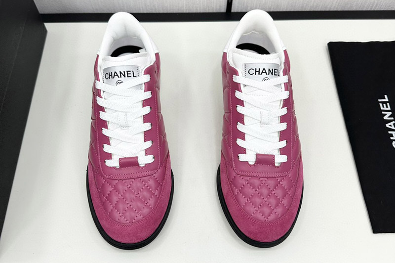 CC Sneaker and Shoe