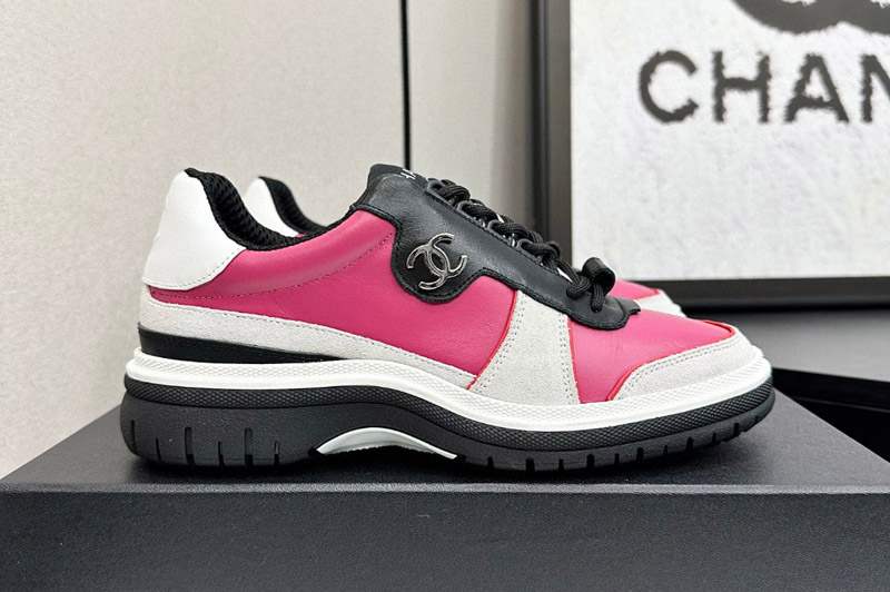 CC Sneaker and Shoe