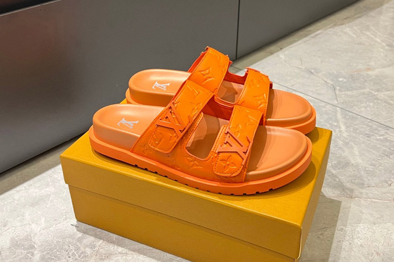 Louis Vuitton Sandal and Slippers