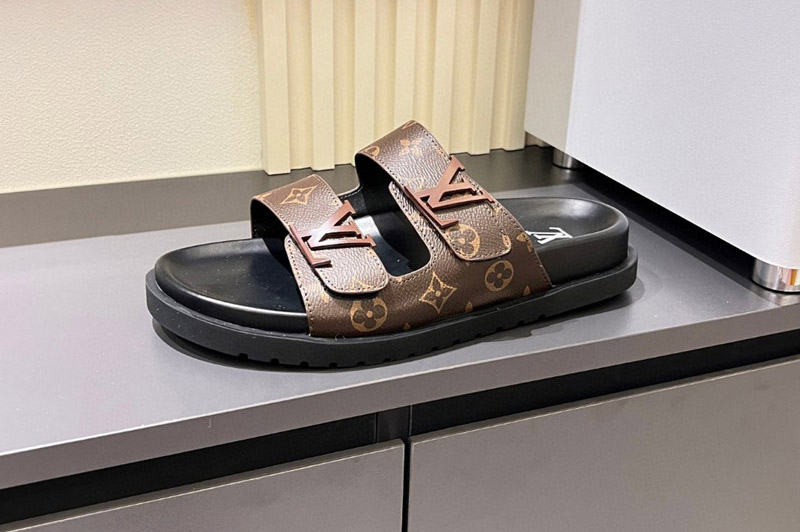 Louis Vuitton Sandal and Slippers
