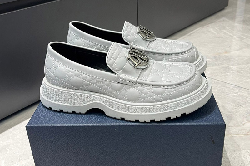 Dior Loafer and Shoe