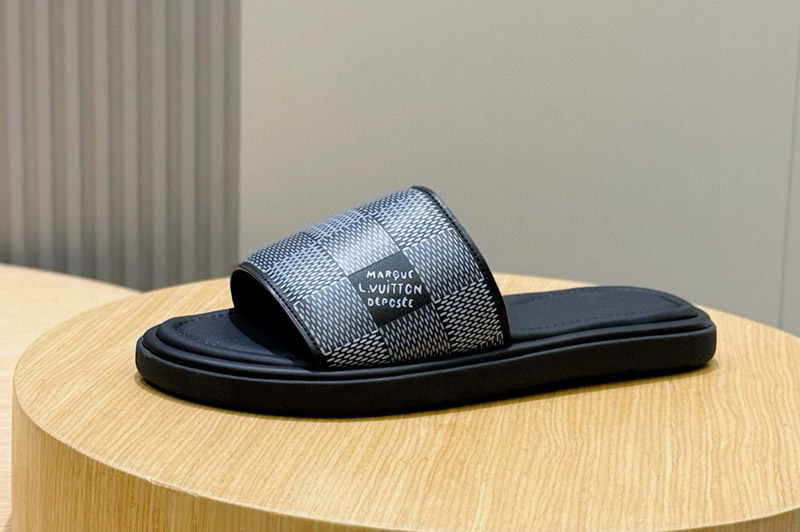 Louis Vuitton Sandal and Slippers