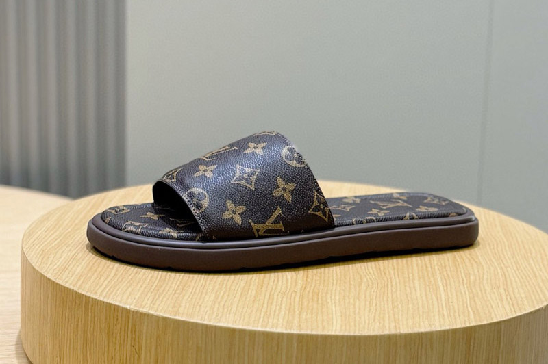 Louis Vuitton Sandal and Slippers