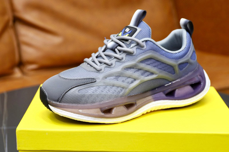 Fendi Sneaker and Shoe