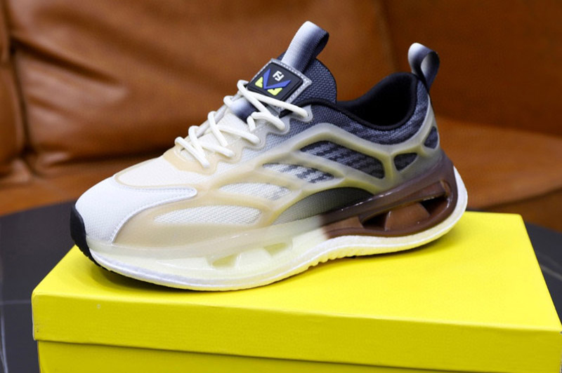Fendi Sneaker and Shoe