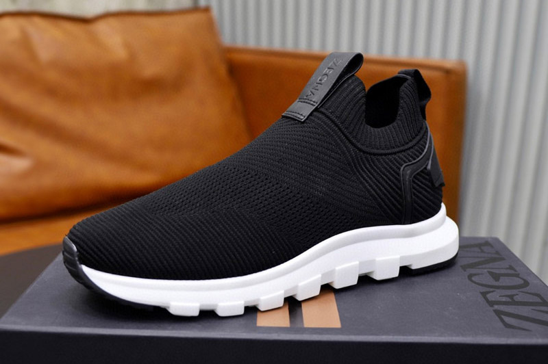 Zegna Sneaker and Shoe