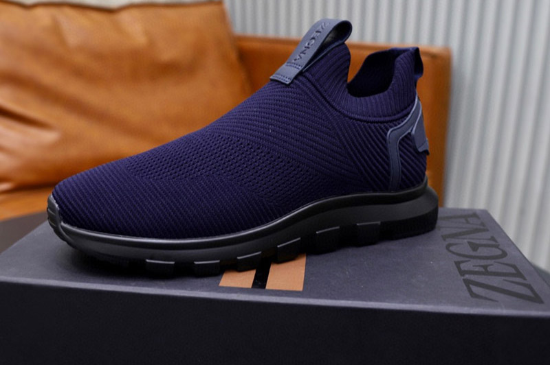 Zegna Sneaker and Shoe
