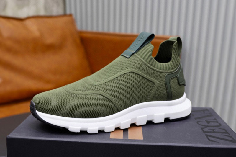Zegna Sneaker and Shoe
