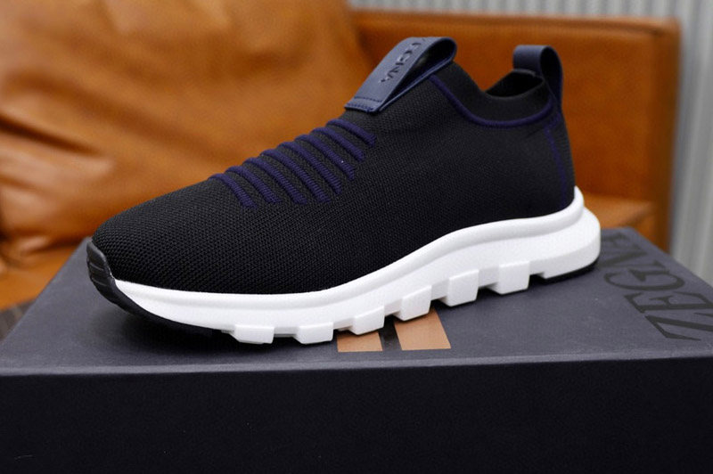 Zegna Sneaker and Shoe