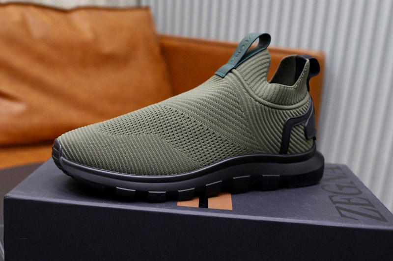 Zegna Sneaker and Shoe