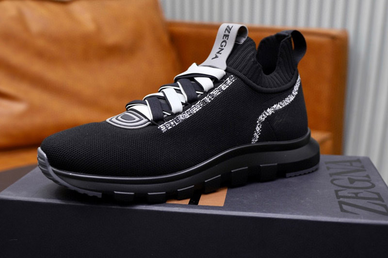 Zegna Sneaker and Shoe