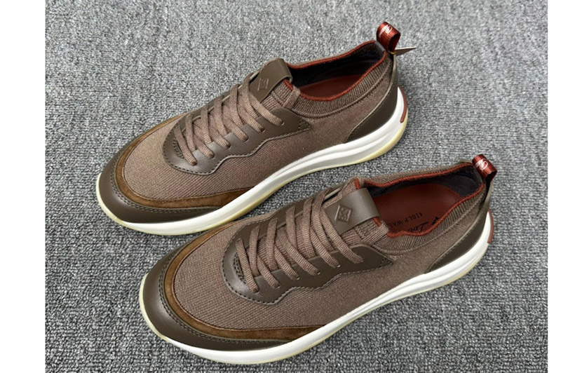 Loro Piana Sneaker and Shoe