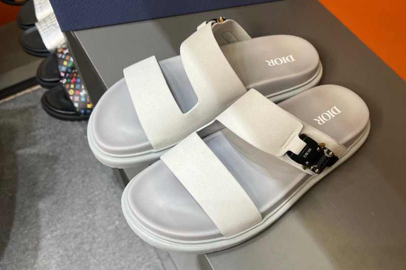 Dior Loafer and Shoe