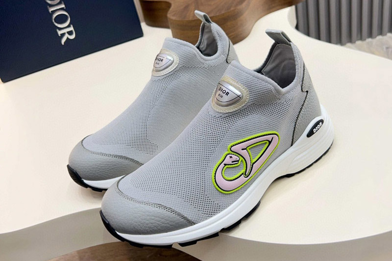 Dior Sneaker and Shoe