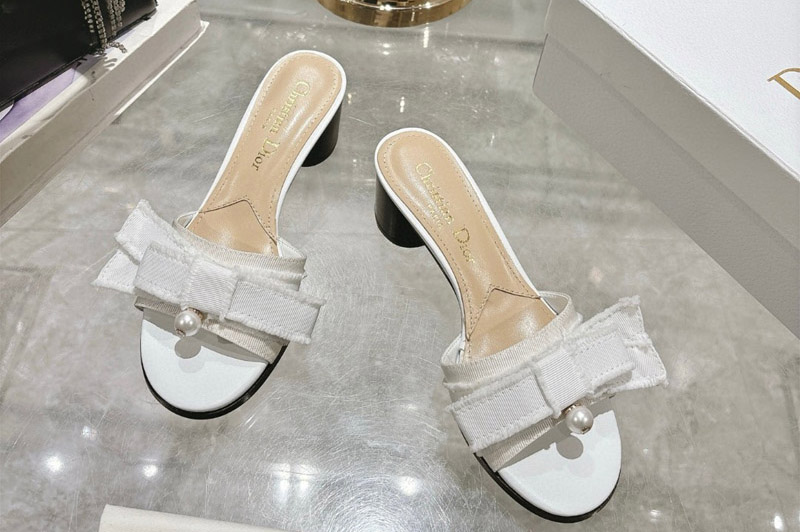 Dior Sandal and Slippers
