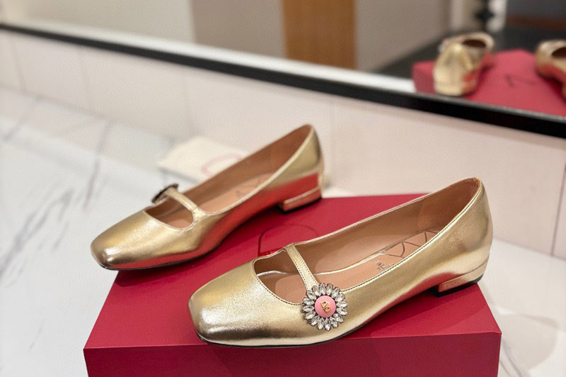 Valentino Pumps and Shoe