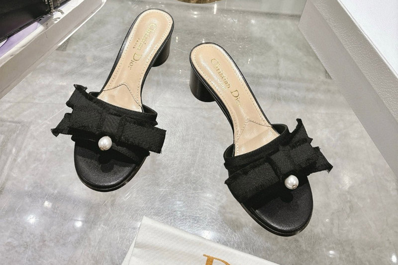 Dior Sandal and Slippers