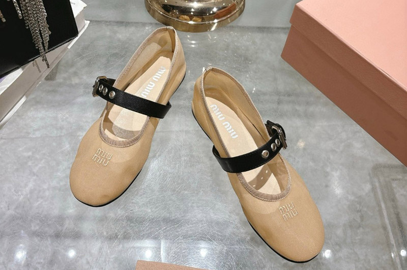 Miu Miu Pumps and Shoe
