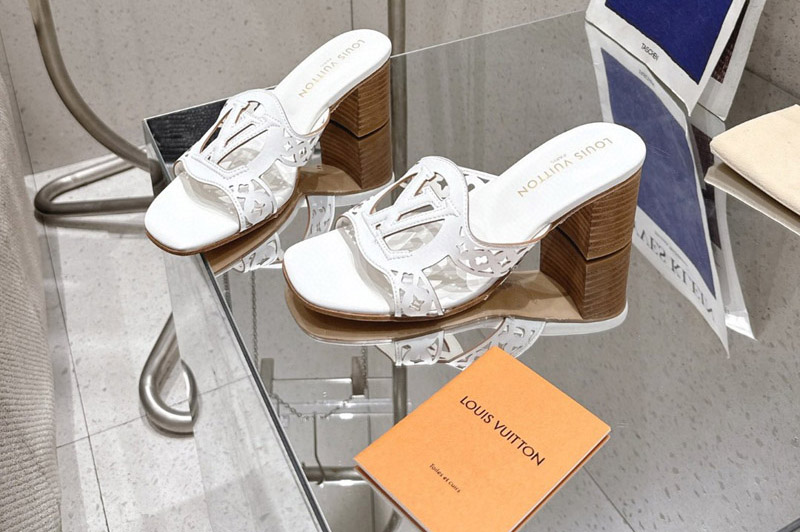 Louis Vuitton Sandal and Slippers