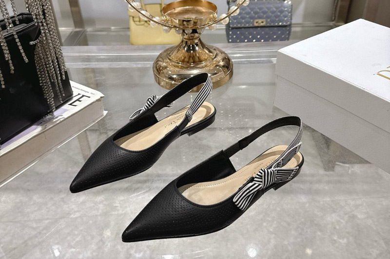 Dior Loafer and Shoe