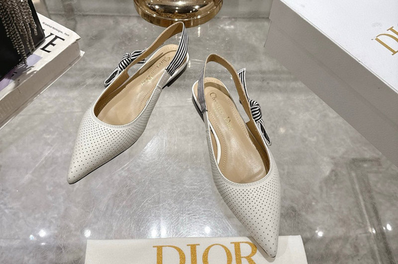 Dior Loafer and Shoe