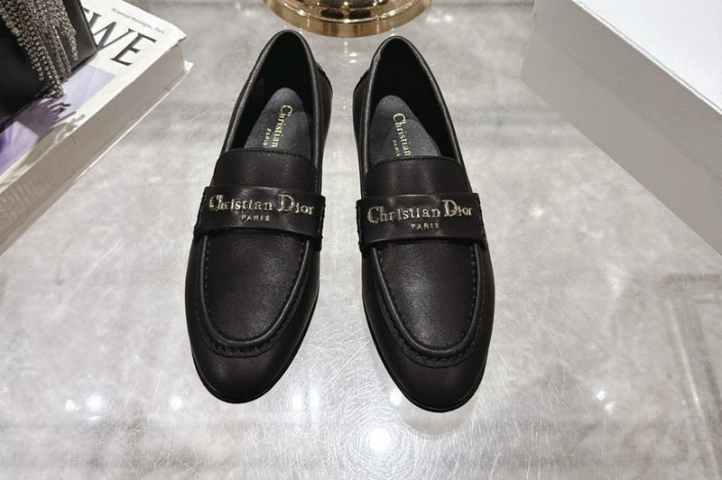 Dior Loafer and Shoe