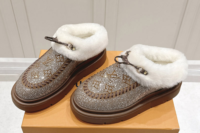 Louis Vuitton Boot and Shoes