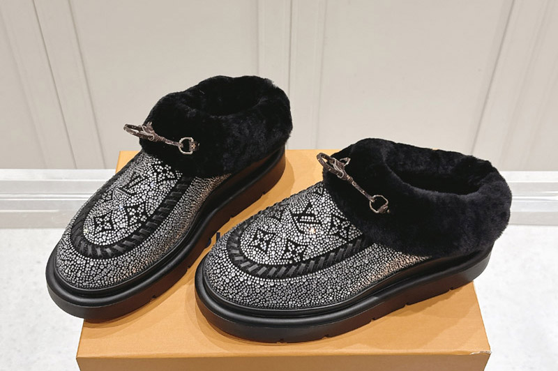 Louis Vuitton Boot and Shoes